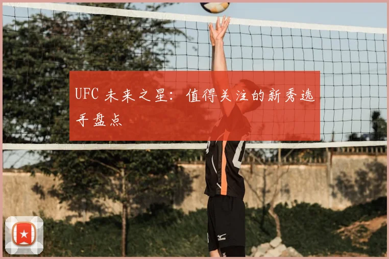 UFC 未来之星：值得关注的新秀选手盘点